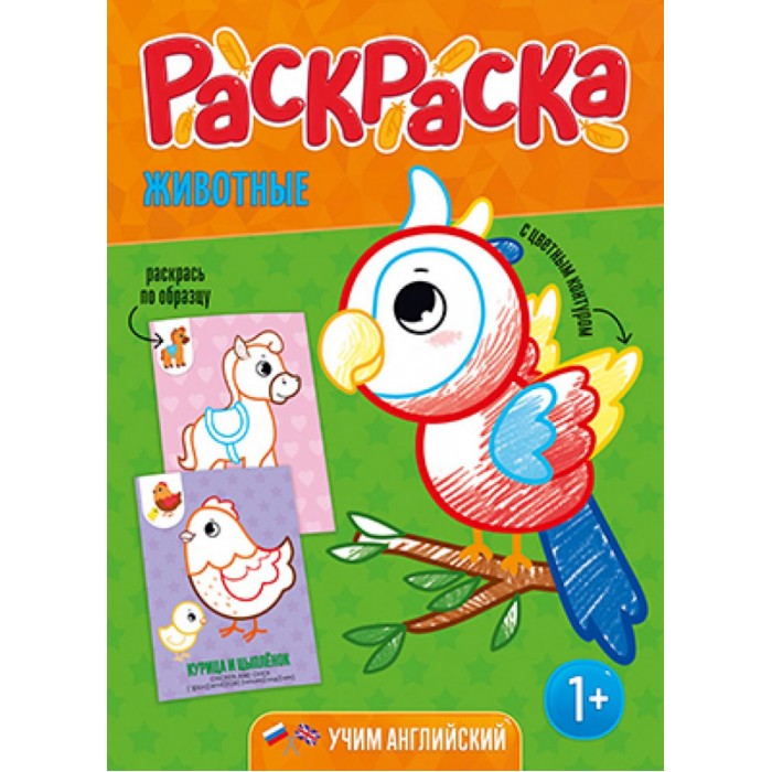 Фото Животного Раскраска