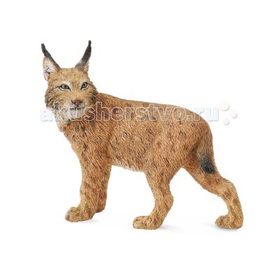 

Collecta Фигурка Рысь L, Фигурка Рысь L