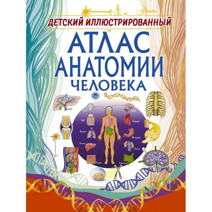 

Издательство АСТ Книга Детский иллюстрированный атлас анатомии человека, Книга Детский иллюстрированный атлас анатомии человека