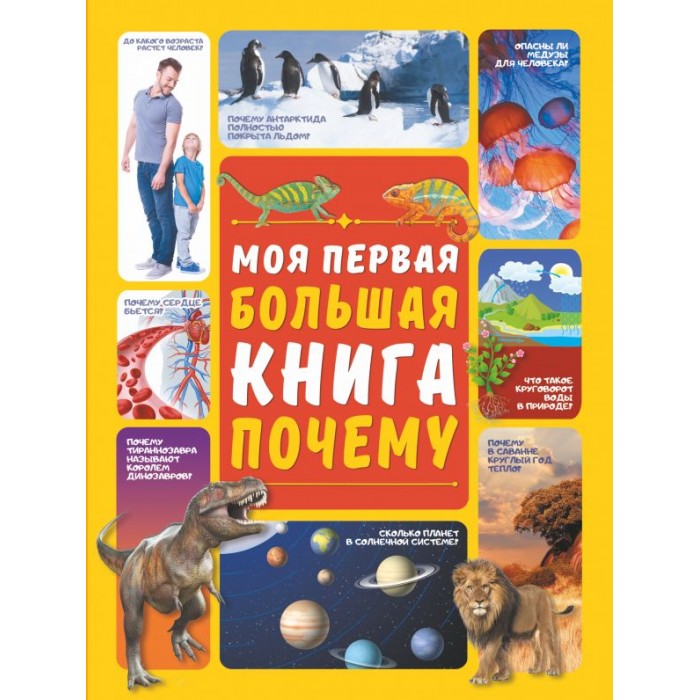 

Издательство АСТ Моя первая большая книга Почему, Моя первая большая книга Почему