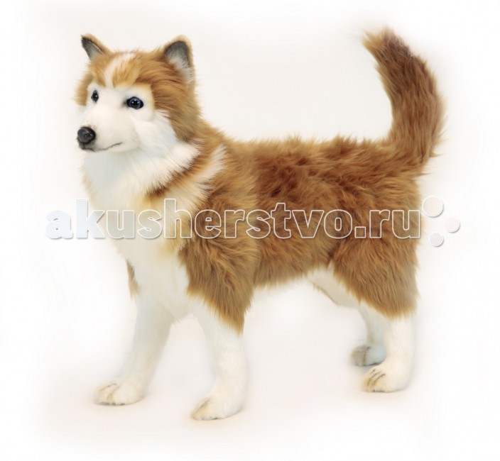 Мягкая игрушка Hansa Хаски коричневая 50 см