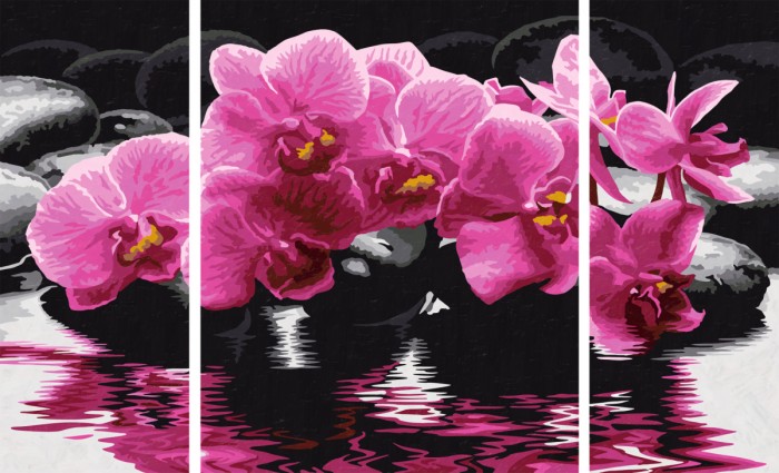 Schipper Картина по номерам Триптих Орхидеи 50х80 см