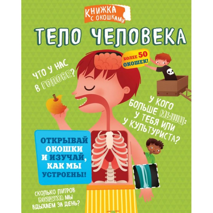 

Издательство АСТ Книга Тело человека, Книга Тело человека
