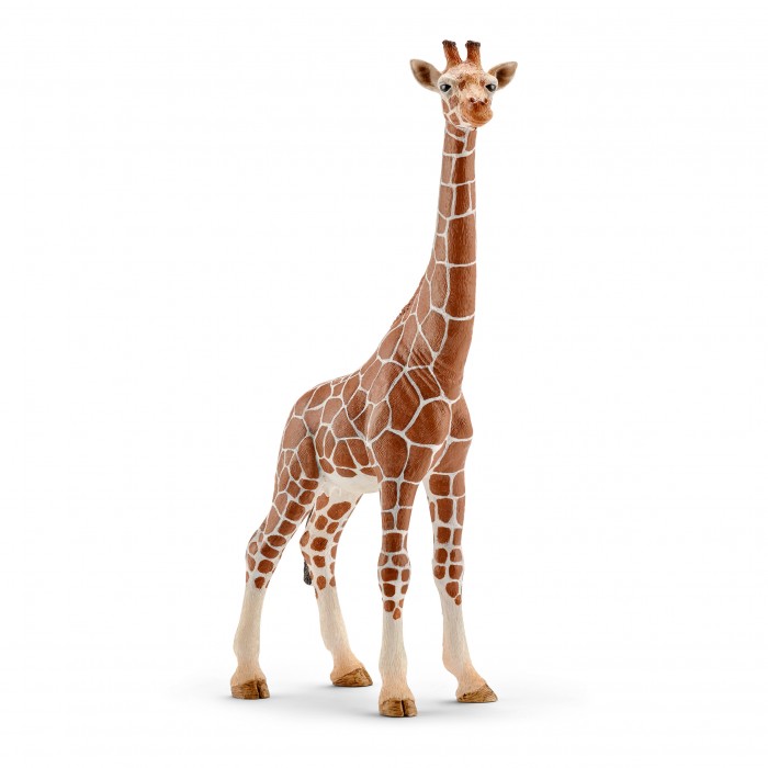 фото Schleich фигурка жираф самка