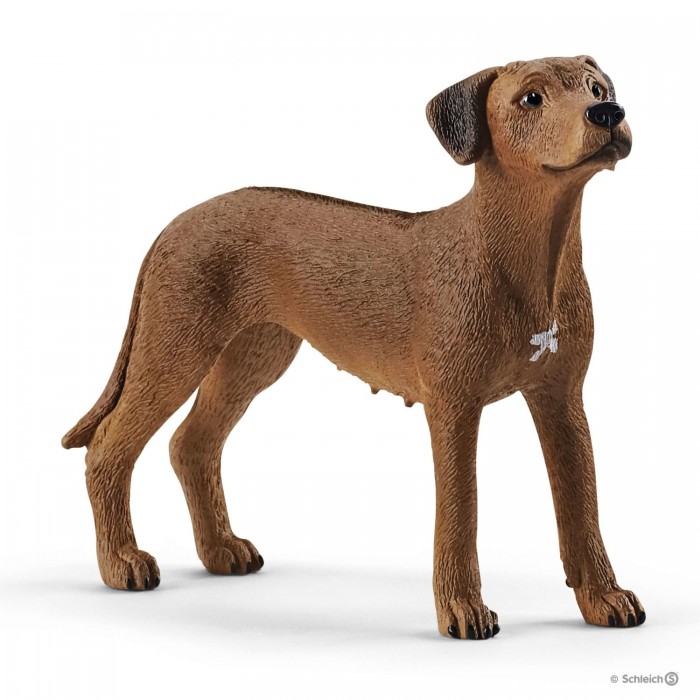 фото Schleich фигурка родезийский риджбек