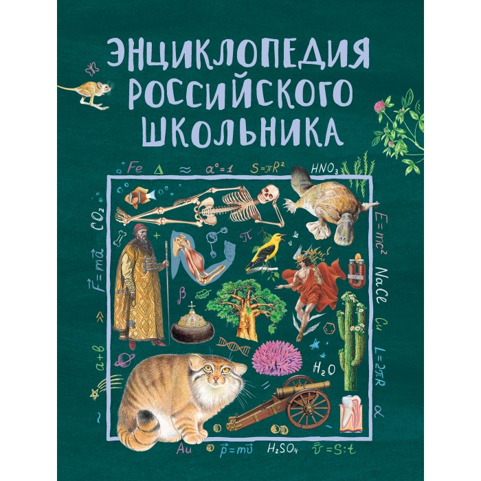 

Росмэн Энциклопедия российского школьника, Энциклопедия российского школьника