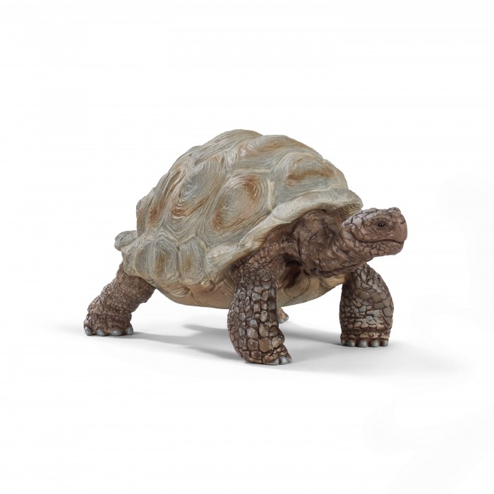

Schleich Фигурка Гигиантская черепаха, Фигурка Гигиантская черепаха