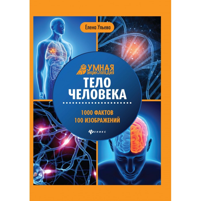 

Феникс Энциклопедия Тело человека, Энциклопедия Тело человека
