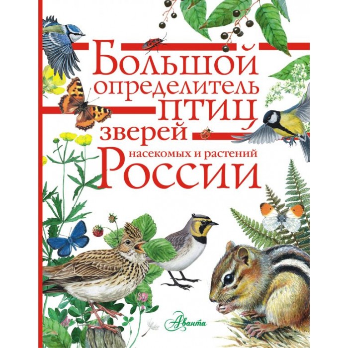 

Издательство АСТ Большой определитель птиц, зверей, насекомых и растений России, Большой определитель птиц, зверей, насекомых и растений России
