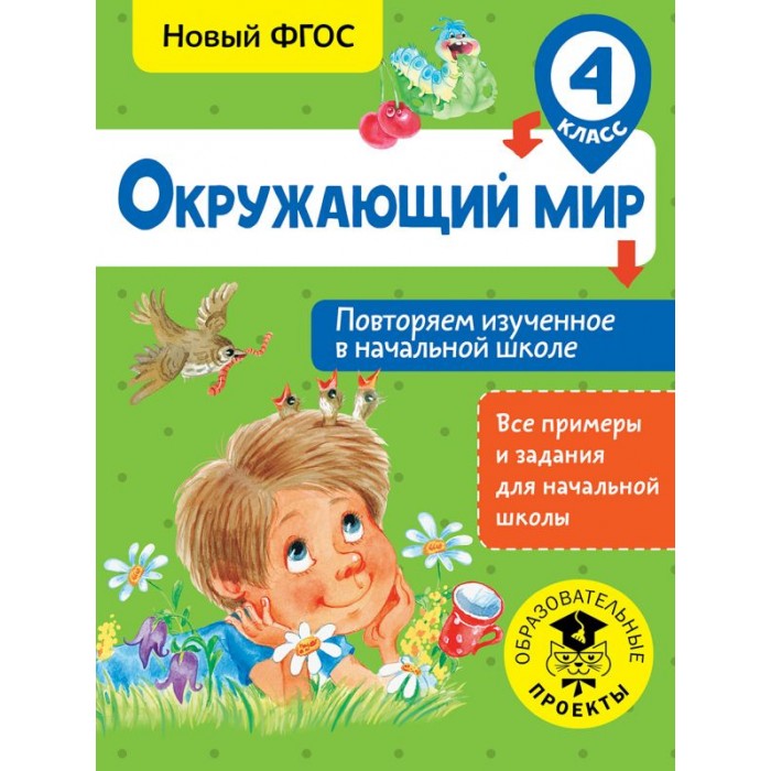Раннее развитие Издательство АСТ Книга Окружающий мир Повторяем изученное в начальной школе 4 класс зайцев а окружающий мир 4 класс повторяем изученное в начальной школе