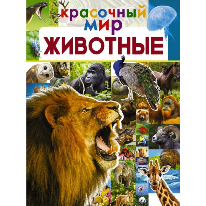 

Издательство АСТ Книга Красочный мир Животные, Книга Красочный мир Животные