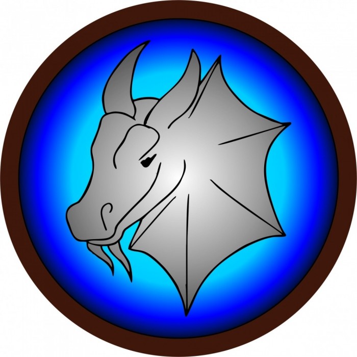 Древо Игр Круглый щит Дракон