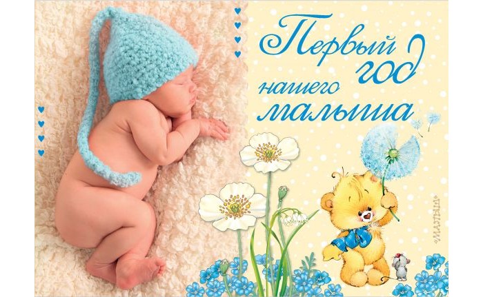 

Издательство АСТ Первый год нашего малыша, Первый год нашего малыша
