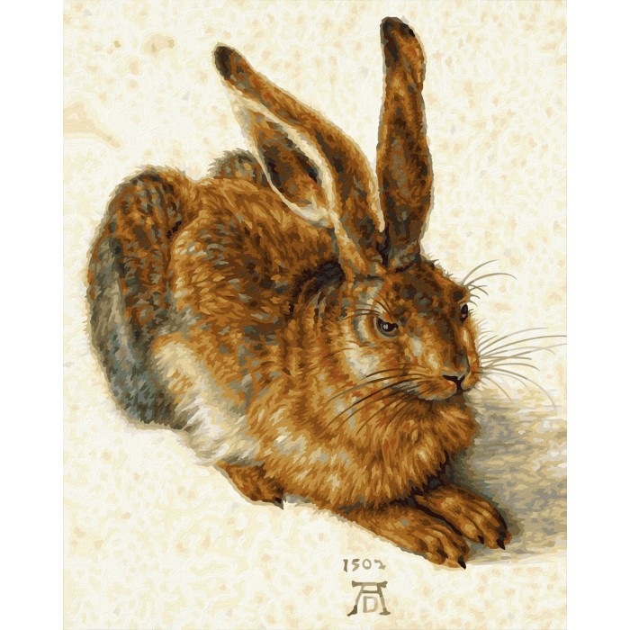 фото Schipper картина по номерам заяц по мотивам альбрехта дюрера 50х40 см