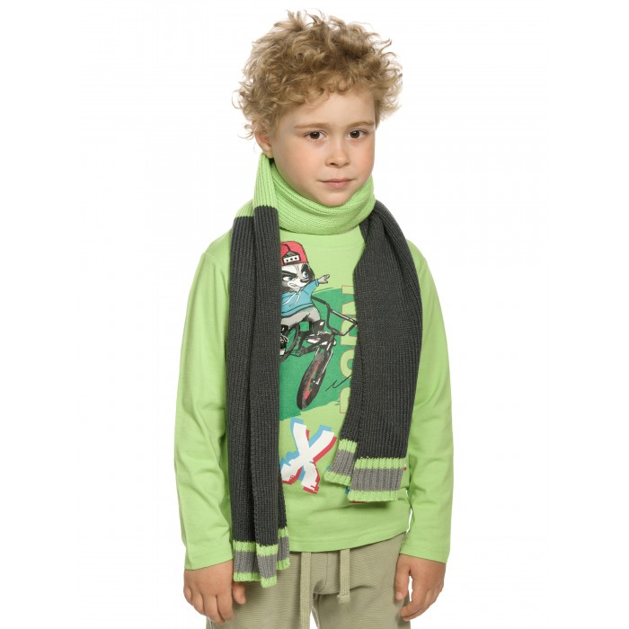 Фото - Шапки, варежки и шарфы Pelican Шарф для мальчика BKFU3191 шарф crystel eden 1712 4