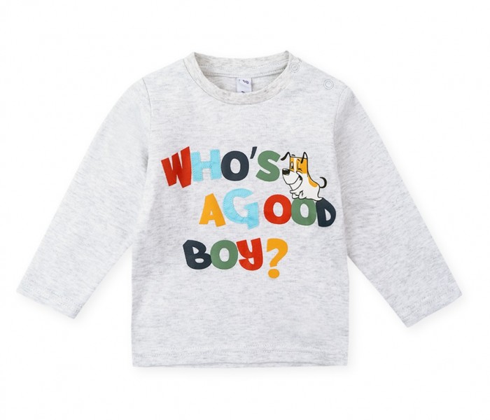 

Playtoday Фуфайка для мальчиков Forest camping NB, Фуфайка для мальчиков Forest camping NB