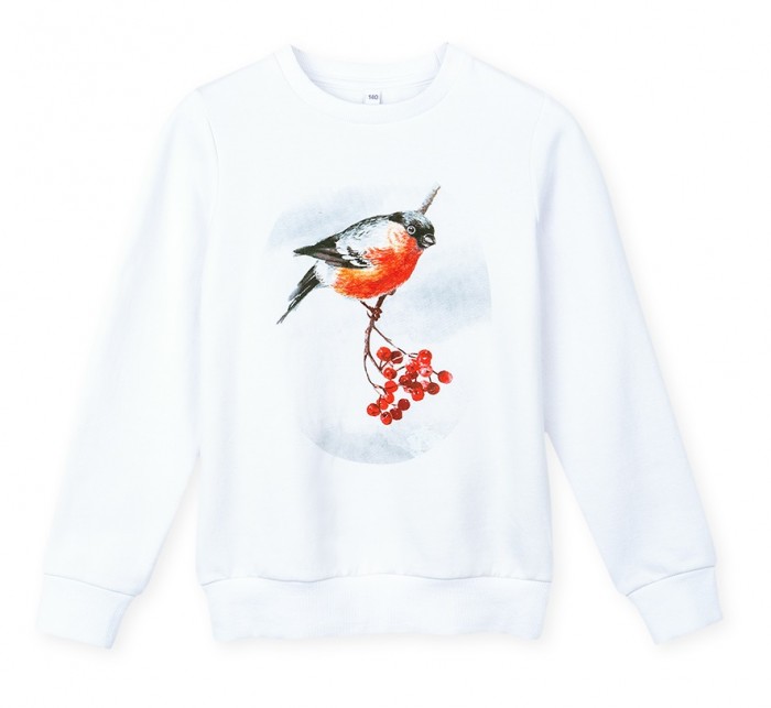 

Playtoday Толстовка для девочек Snow College girls tween, Толстовка для девочек Snow College girls tween