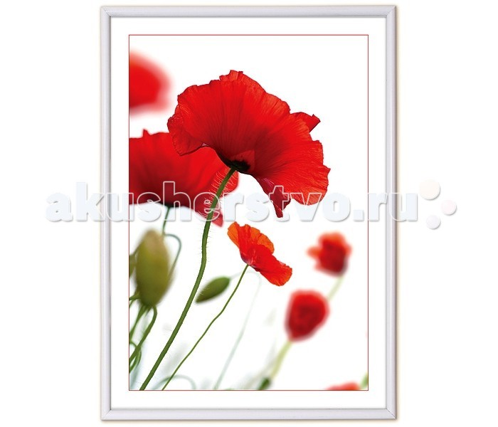Фотоальбомы и рамки Veld CO Фоторамка Poster 15х21 см