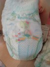 15704 Pampers - Pants   .4 (9-15 ) 176 .   