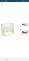 39602  Forest kids Lavatera 6  1 ()          (3 )   