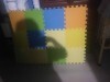 41588  Forest kids  Basic (6 ) (3 )   