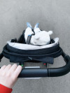 84629 UPPAbaby Minu 2018   