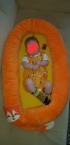 10955 Forest kids -    