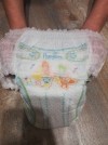 22601 Pampers - Pants   .5 (12-17 ) 96 .   