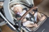 59363 UPPAbaby Cruz V2   