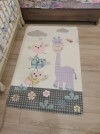 36620 Confetti Kids  Owls 9  100150    
