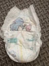 56688 Pampers - Pants   .4 (9-15 ) 176 .    