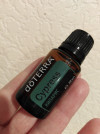 98590 doTERRA   Cypress   