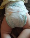 15815 Pampers - Pants   .4 (9-15 ) 176 .   