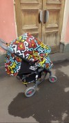 890 Rant Vira Alu   