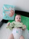 22688 Pampers  Premium Care   .4 (9-14 ) 37 .   