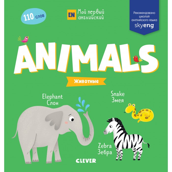  Clever    Animals 