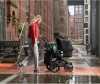  Bugaboo Cameleon 3 Plus Complete 2  1     - Bugaboo Cameleon 3 Plus Complete   winter