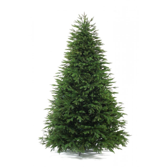  Crystal Trees    250 