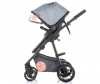 - Chipolino Milo KKMIL019 - Chipolino - Milo
