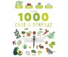  Clever      1000    - Clever      1000   