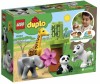  Lego Duplo Town   - Lego Duplo Town  