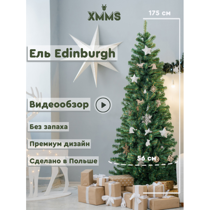  XMMS   Edinburgh 175 