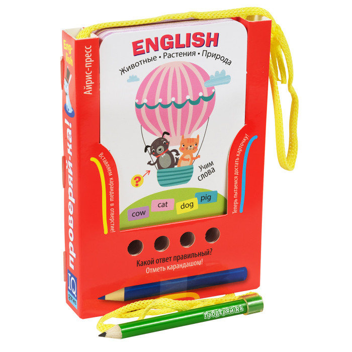  - - English   