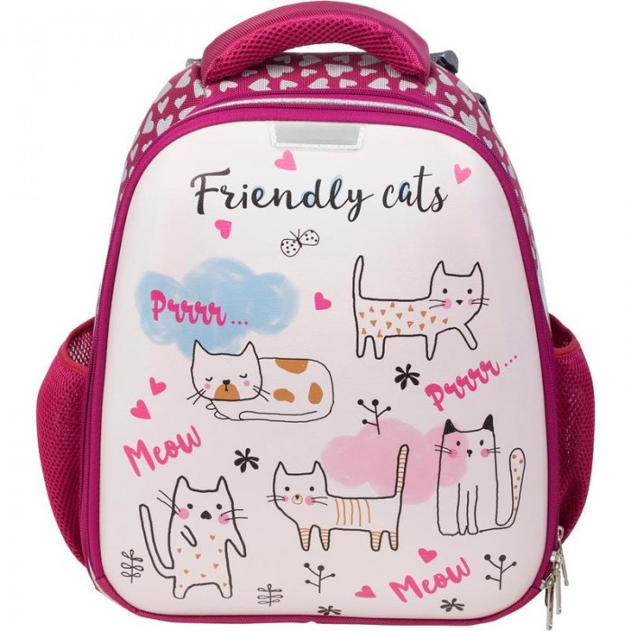  1 School  Friendly cats ()