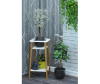       - kaliforniya-mebel-podstavka-dlya-cvetov-flora-2121356-1674551598