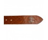  Wild Bear  RM-073m - Wild Bear  RM-073m