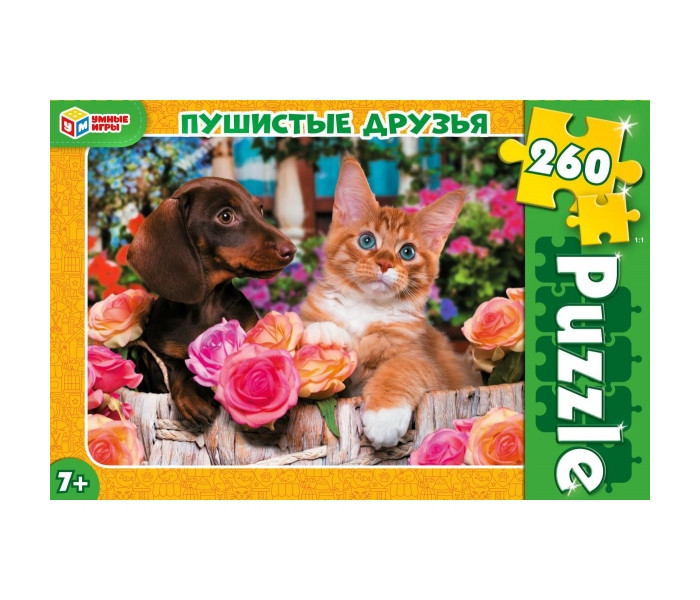       260  28519033 