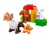  Lego Duplo 10522      - Lego     