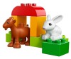  Lego Duplo 10522      - Lego     