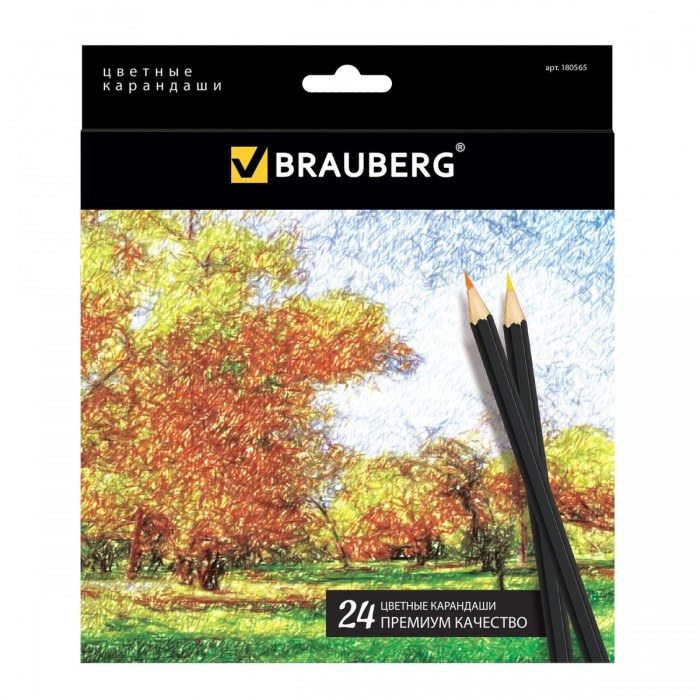  Brauberg     Artist line 24 